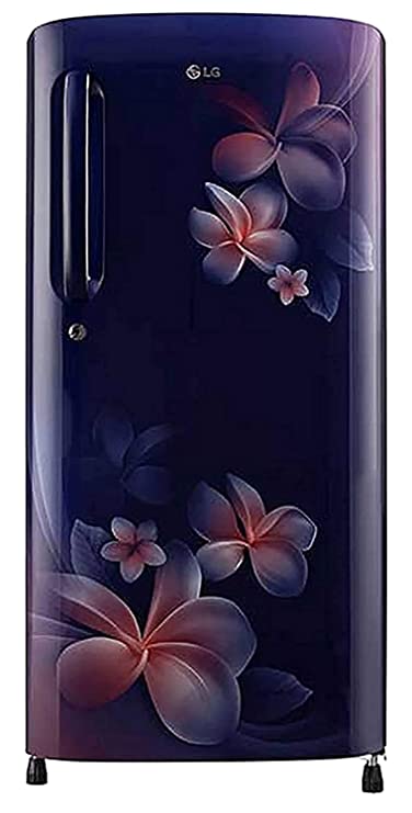 Review of LG 190 L 4 Star Inverter Direct-Cool Single Door Refrigerator (GL-B201ABPY, Blue Plumeria, Fastest Ice Making)