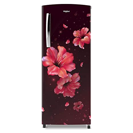 Whirlpool 200 L 4 Star Inverter Single Door Refrigerator (215 ICEMAGIC PRO PRM 4S, Wine Hibiscus)